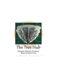 Tree Hub Study Report