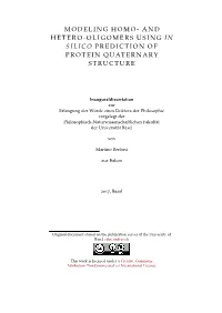 And Hetero-Oligomers Using in Silico Prediction of Protein Quaternary