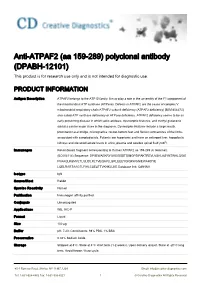 Anti-ATPAF2 (Aa 159-289) Polyclonal Antibody (DPABH-12101) This Product Is for Research Use Only and Is Not Intended for Diagnostic Use