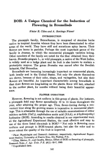 BOH: a Unique Chemical for the Induction of Flowering in Bromeliads
