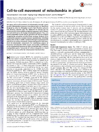 Cell-To-Cell Movement of Mitochondria in Plants