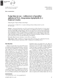 Long Time No See–Rediscovery of Peculiar Ephemeral Fern