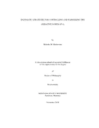 Machovina-Enzymatic-2018.Pdf