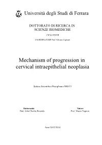 Mechanism of Progression in Cervical Intraepithelial Neoplasia