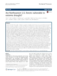 Are Northeastern U.S. Forests Vulnerable to Extreme Drought? Adam P