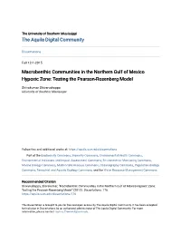 Macrobenthic Communities in the Northern Gulf of Mexico Hypoxic Zone: Testing the Pearson-Rosenberg Model