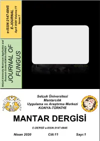 Mantar Dergisi