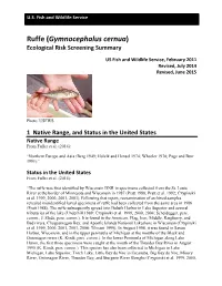 Ruffe (Gymnocephalus Cernua) Ecological Risk Screening Summary