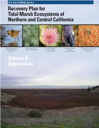 Tidal Marsh Recovery Plan Habitat Creation Or Enhancement Project Within 5 Miles of OAK