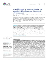 A Stable Mode of Bookmarking by TBP Recruits RNA Polymerase II To