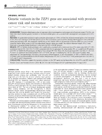 Genetic Variants in the TEP1 Gene Are Associated with Prostate Cancer Risk and Recurrence
