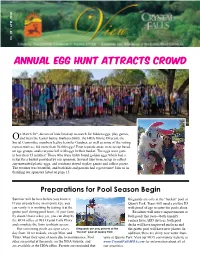 Annual Egg Hunt Attracts Crowd