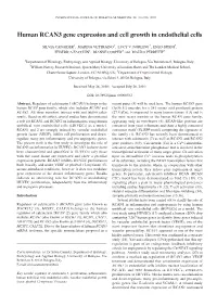 Human RCAN3 Gene Expression and Cell Growth in Endothelial Cells