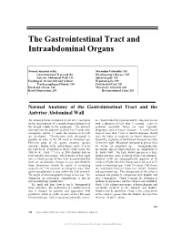 The Gastrointestinal Tract and Intraabdominal Organs