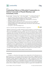 Contrasting Patterns of Microbial Communities in Glacier Cryoconite of Nepali Himalaya and Greenland, Arctic