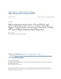 Microorganisms from Sand, Cloacal Fluid, and Eggs of Lepidochelys Olivacea and Standard Testing of Cloacal Fluid Antimicrobial Properties Erin L