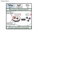 Mito-Cytosolic Translational Balance Increased Cytoprotection And