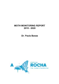 Moth Report, 2019-2020