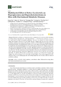 Multifaceted Effect of Rubus Occidentalis on Hyperglycemia and Hypercholesterolemia in Mice with Diet-Induced Metabolic Diseases