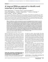 A Long-Read RNA-Seq Approach to Identify Novel Transcripts of Very Large Genes