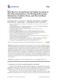 Mini-Review on Lipofuscin and Aging: Focusing on the Molecular Interface, the Biological Recycling Mechanism, Oxidative Stress, and the Gut-Brain Axis Functionality