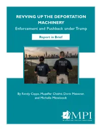 Revving up the Deportation Machinery: Enforcement and Pushback Under Trump, Report in Brief