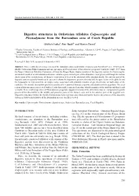 Digestive Structures in Ordovician Trilobites Colpocoryphe and Flexicalymene from the Barrandian Area of Czech Republic