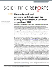 Thermodynamic and Structural Contributions of the 6-Thioguanosine