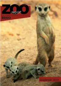 ZOOREPORT PROFI the Content