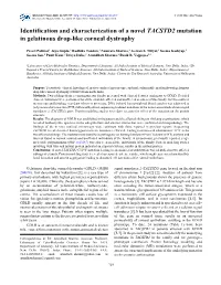 Identification and Characterization of a Novel TACSTD2 Mutation in Gelatinous Drop-Like Corneal Dystrophy