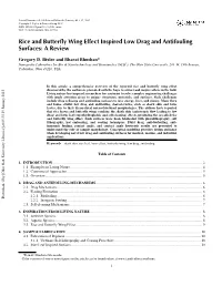 Rice and Butterfly Wing Effect Inspired Low Drag and Antifouling Surfaces