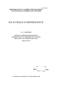 On Fungus Luminescence