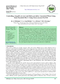Controlling Anagallis Arvensis and Malva Parviflora Associated Wheat Using Some Essential Oils