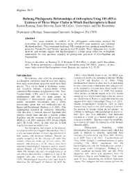 Defining Phylogenetic Relationships of Ochrophyta Using 18S Rrna