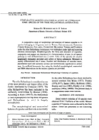 Djvu Document