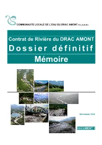 Dossier Définitif Mémoire