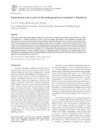 Exploring the Role of Auxin in the Androgynophore Movement in Passiflora