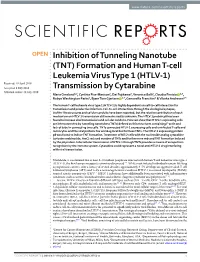 Inhibition of Tunneling Nanotube (TNT) Formation And