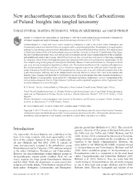 New Archaeorthopteran Insects from the Carboniferous of Poland: Insights Into Tangled Taxonomy