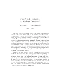 What Can Be Computed in Algebraic Geometry?