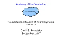 Anatomy of the Cerebellum Computational Models of Neural