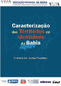 Ficha TI 13.Pdf
