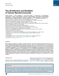 The Architecture and Evolution of Cancer Neochromosomes
