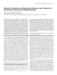 Different Contributions of Microtubule Dynamics and Transport to the Growth of Axons and Collateral Sprouts