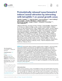 Proteolytically Released Lasso/Teneurin-2 Induces Axonal