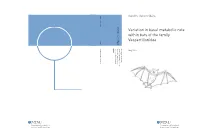 Variation in Basal Metabolic Rate Within Bats of the Family