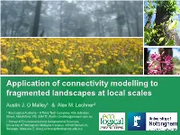 Application of Connectivity Modelling to Fragmented Landscapes at Local Scales