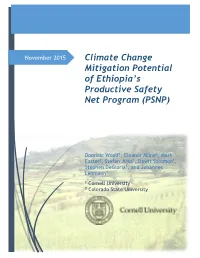Climate Change Mitigation Potential of Ethiopia's Productive Safety Net