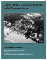 Puget Sound Tsunami Sources—2002 Workshop Report