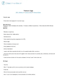 Thoracic Cage EDU - Module 2 > Thorax & Spine > Thorax & Spine